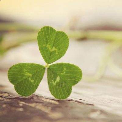 中欧体育app最新版下载截图